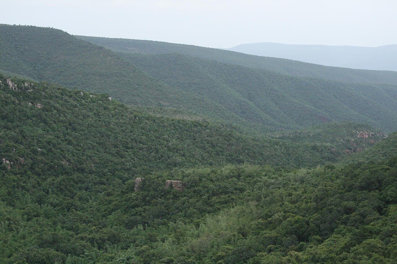 Sri Venkateswara National Park & Talakona Waterfall